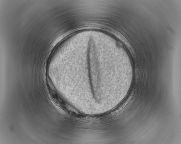 X0000111870842200908201215