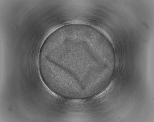 X0000111870847200908201215