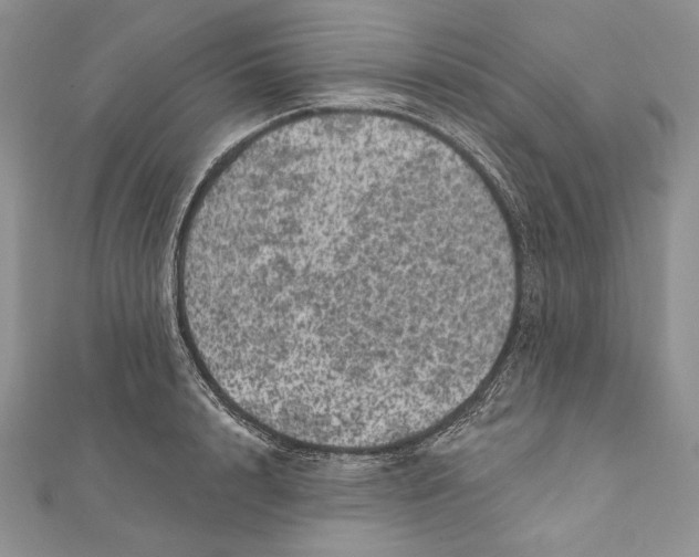 X0000111870848200908201215