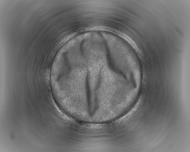 X0000111870849200908201215