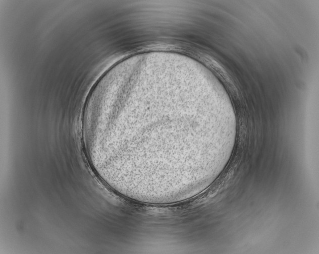 X0000111870852200908201215