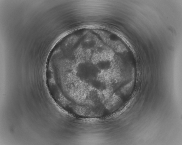 X0000111870853200908201215