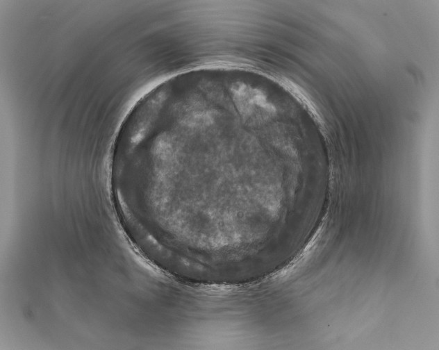 X0000111870854200908201215