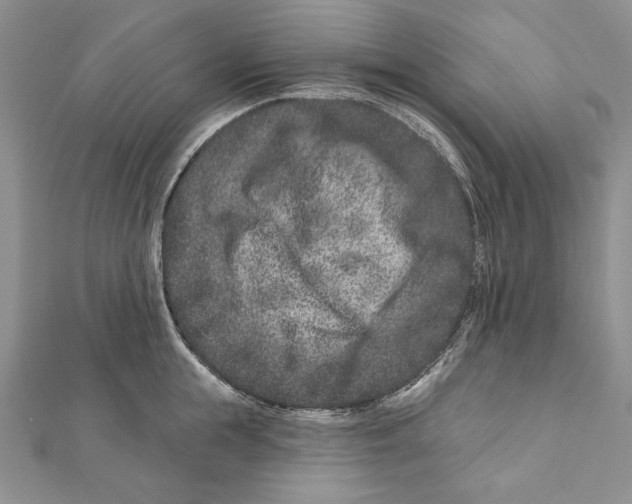 X0000111870855200908201215