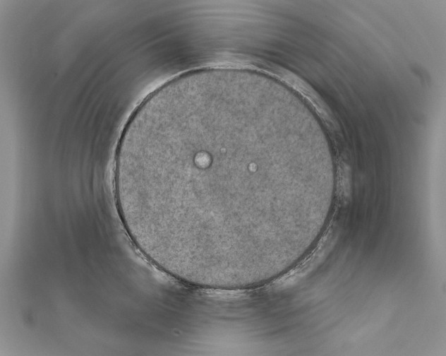 X0000111870856200908201215