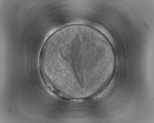 X0000111870858200908201215