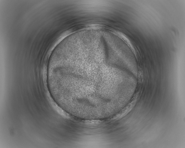 X0000111870859200908201215