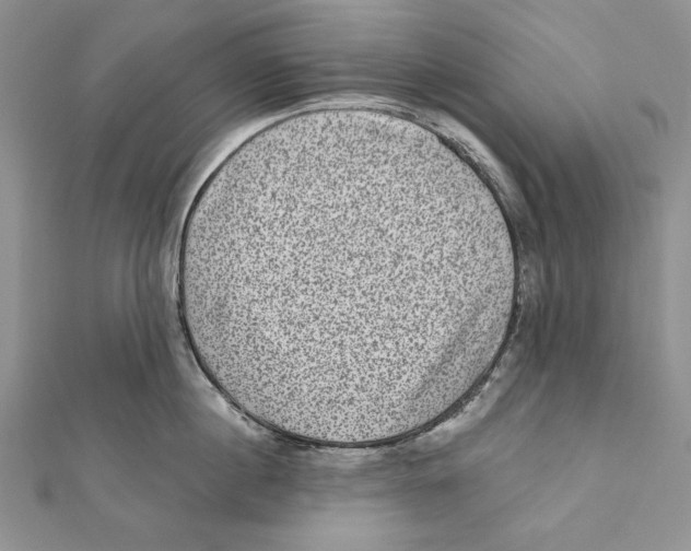 X0000111870860200908201215