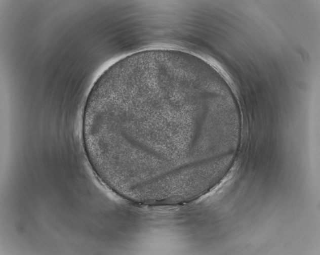 X0000111870862200908201215