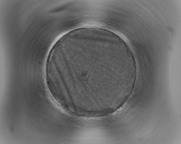 X0000111870864200908201215