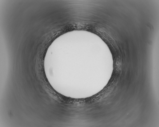 X0000111870865200908201215