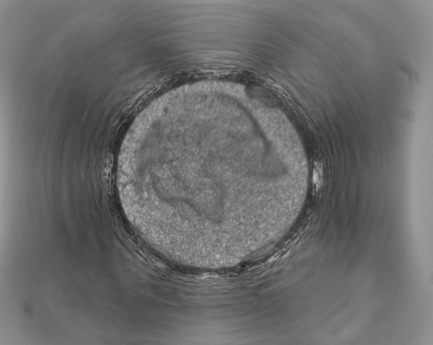 X0000111870867200908201215