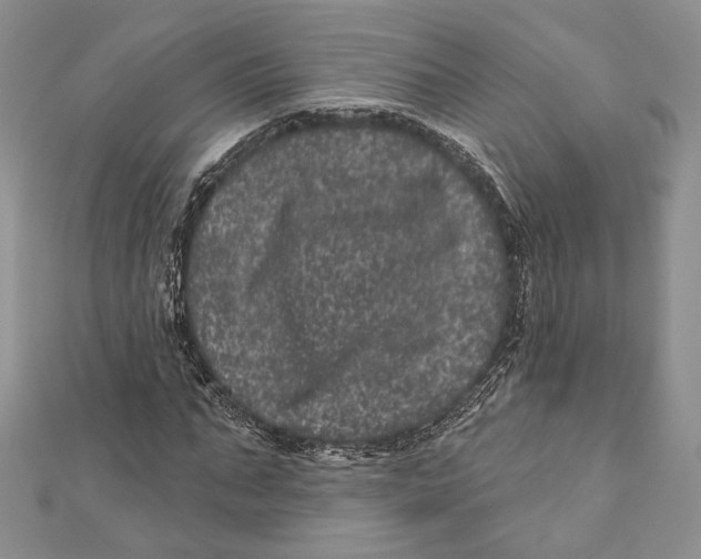 X0000111870871200908201215