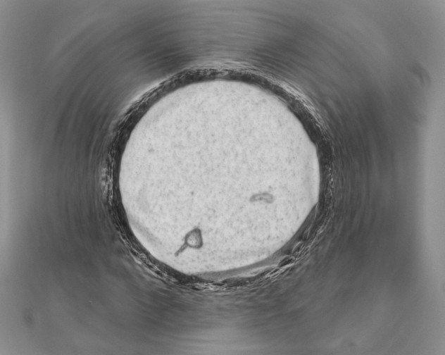 X0000111870872200908201215