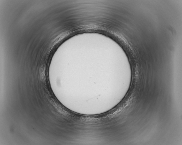 X0000111870873200908201215