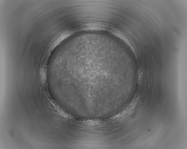 X0000111870874200908201215