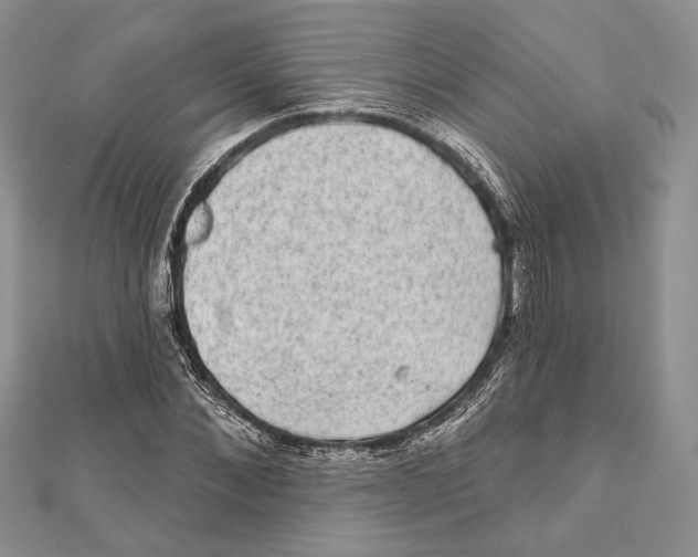 X0000111870876200908201215