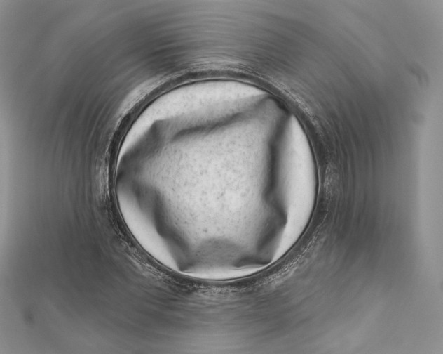 X0000111870877200908201215