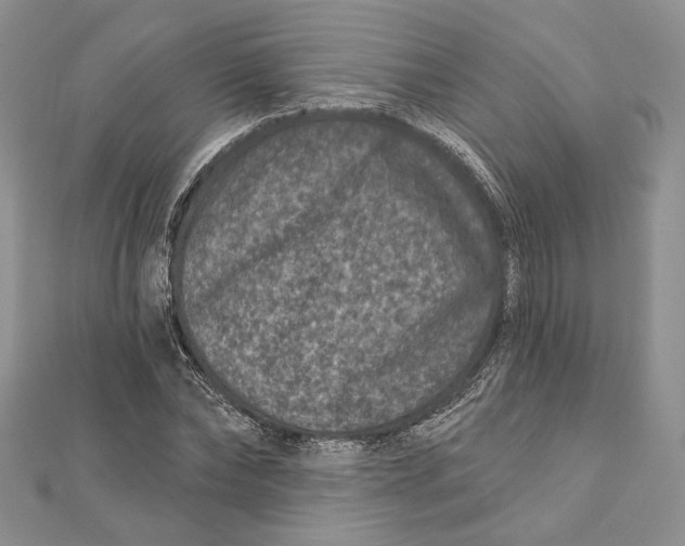 X0000111870878200908201215