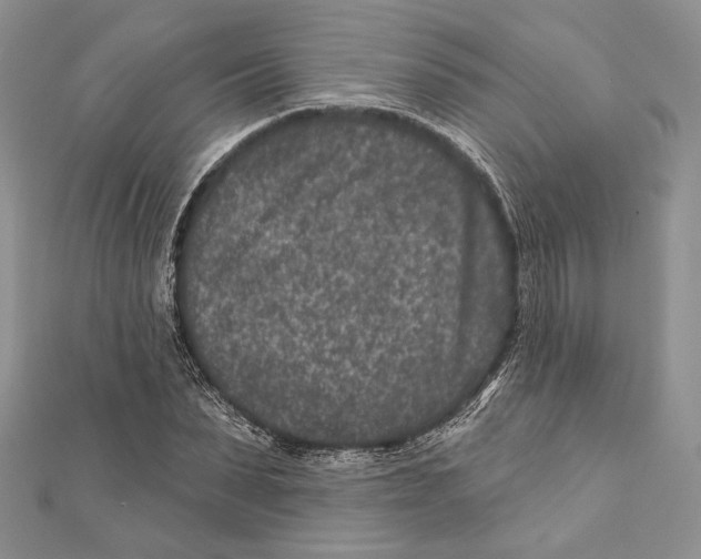 X0000111870879200908201215