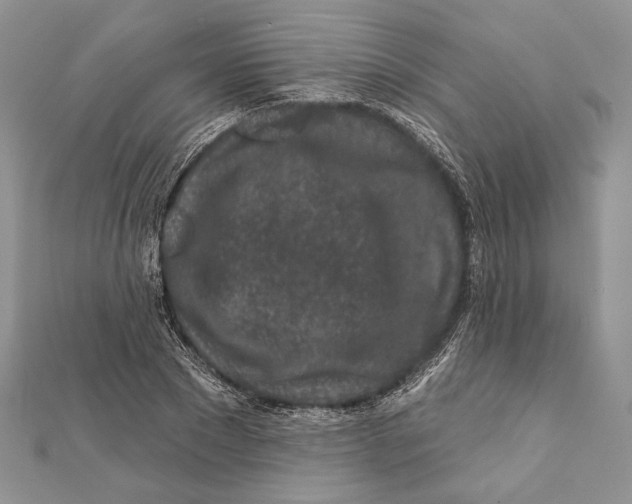 X0000111870881200908201215