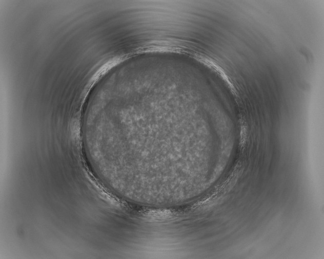 X0000111870882200908201215