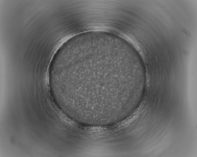 X0000111870883200908201214