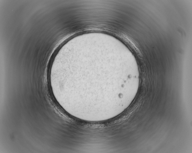 X0000111870884200908201214