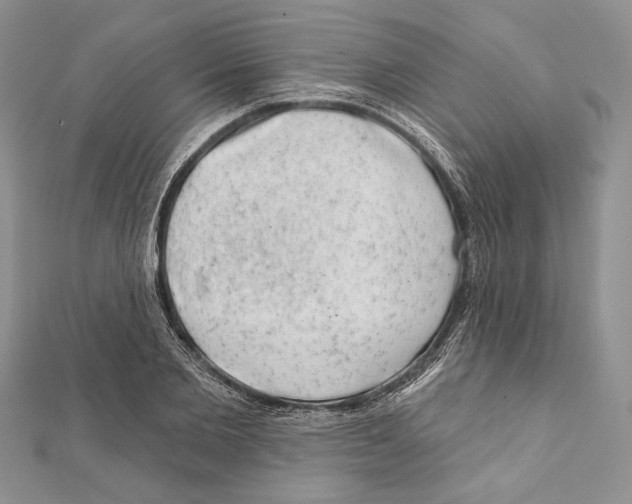 X0000111870885200908201214