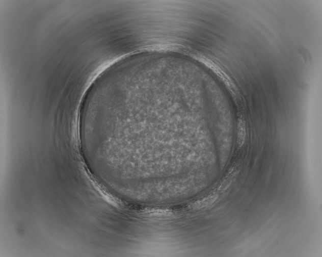 X0000111870886200908201214