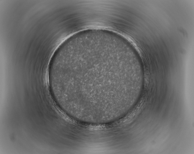 X0000111870887200908201214