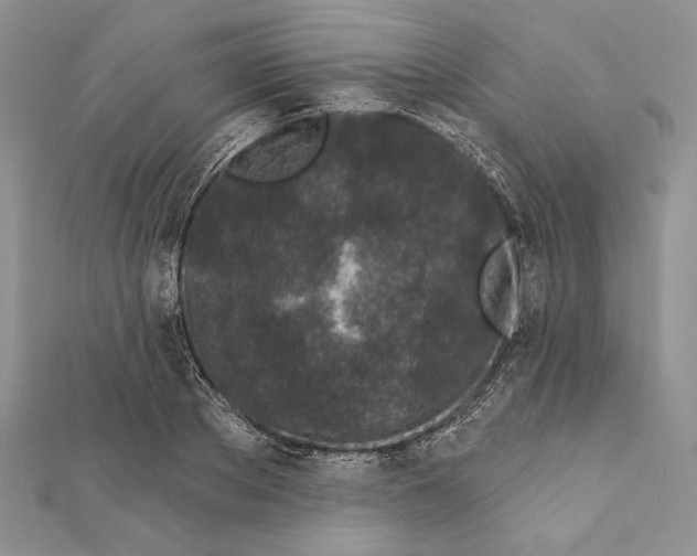 X0000111870889200908201214