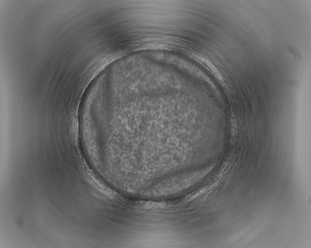 X0000111870890200908201214