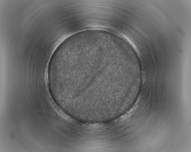 X0000111870891200908201214