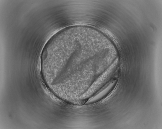 X0000111870892200908201214