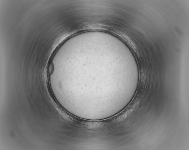 X0000111870893200908201214