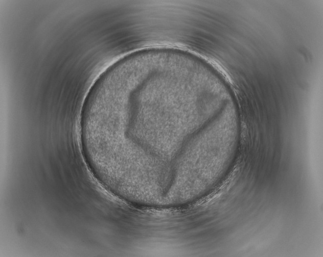 X0000111870895200908201214