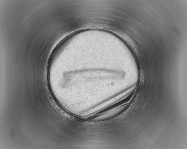 X0000111870896200908201214