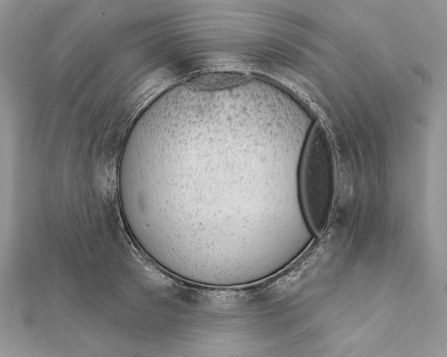 X0000111870897200908201214