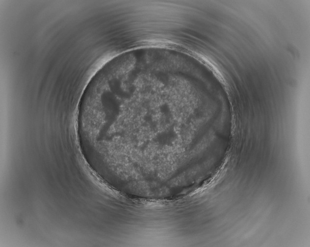 X0000111870899200908201214