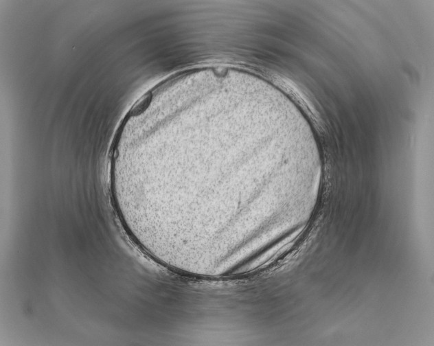 X0000111870900200908201214