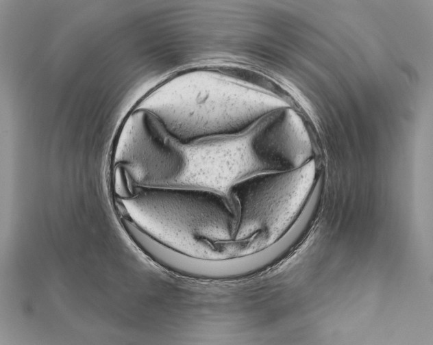 X0000111870901200908201214