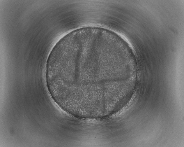 X0000111870903200908201214