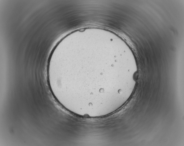 X0000111870904200908201214