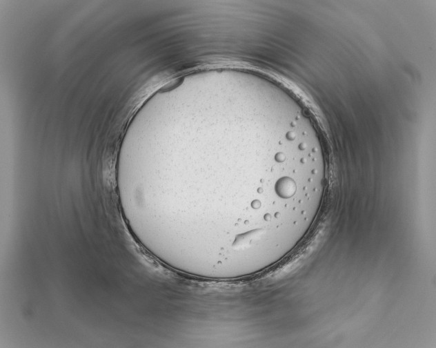 X0000111870905200908201214