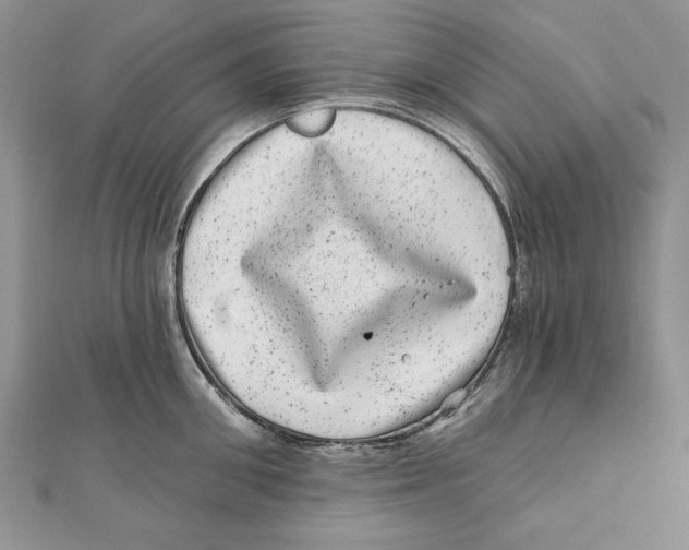 X0000111870906200908201214