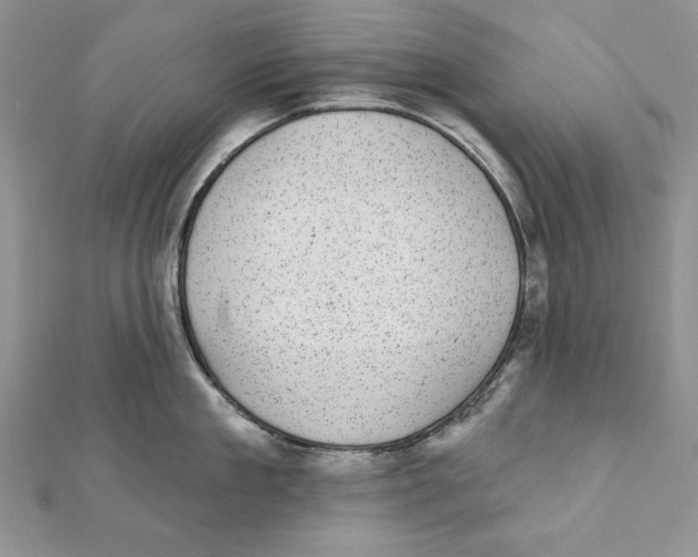 X0000111870909200908201214