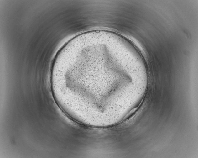 X0000111870910200908201214