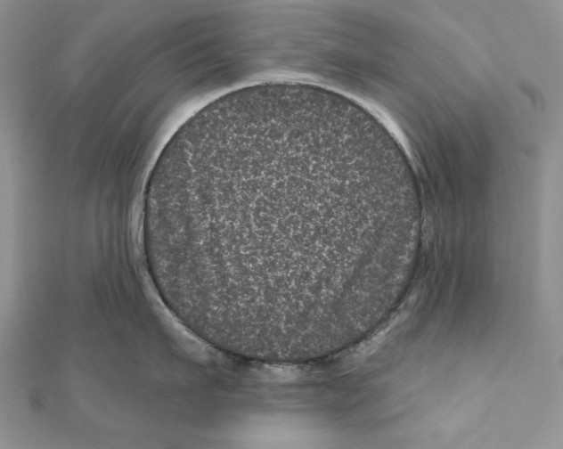 X0000111870911200908201214