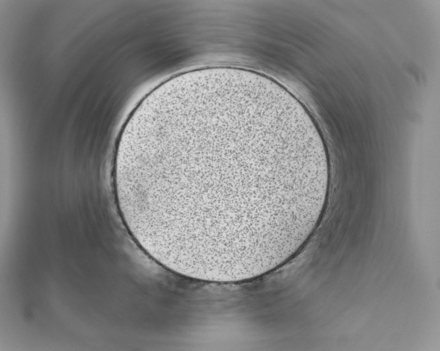 X0000111870912200908201214